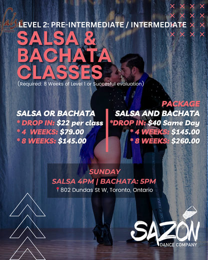 LEVEL 2 | SALSA & BACHATA CLASSES | TORONTO